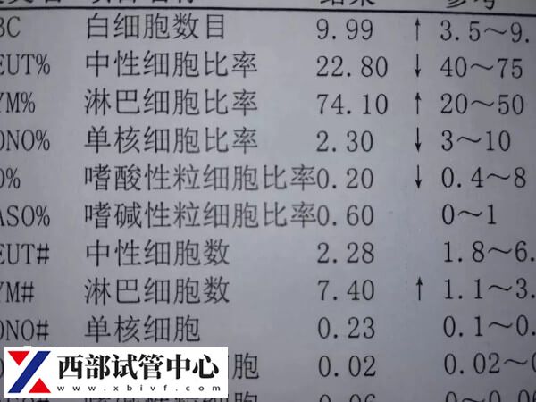 华西二院试管要经历哪些阶段